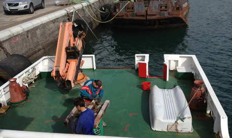 embarcación para maniobras