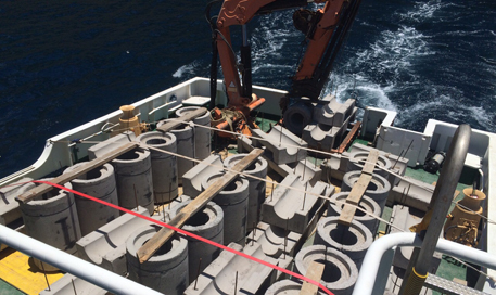 barco multicat para alquiler en Canarias