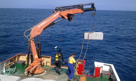 embarcaciones para obras marítimas