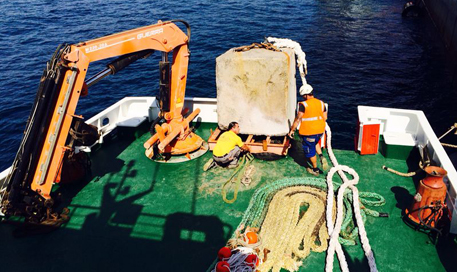 multicat en Tenerife, Islas Canarias